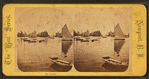 The Harbor.