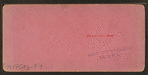 Shore near Spouting Cave, Newport, R.I.