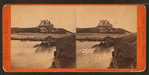 Shore near Spouting Cave, Newport, R.I.