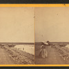 View of First Beach.