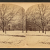 Touro Park in winter.