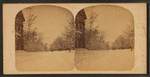 Pelham St. in winter.