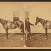 Gypsy Maid, owned by J.A. Williams.