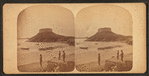 Old Fort Dumpling.