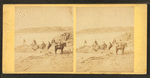 Group of people on the beach.