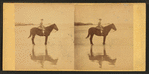 Girl on horseback in the beach.