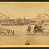 Children in goat cart on beach.