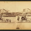 Children in goat cart on beach.