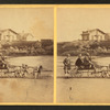 Children in goat cart on beach.