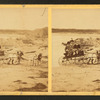 Children in goat cart on beach.