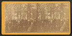Teachers of Friend's School, Providence, R.I. [Group Photo.]