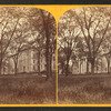 Brown University, Providence, R.I.