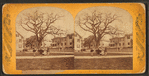 Prospect Park and Congdon St.