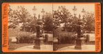 Light fixture and drinking fountain in the park.