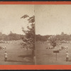 Ball Ground, Central Park.