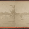 Ball Grounds, Central Park.