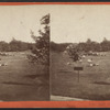 Ball Grounds.