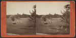 Ball Grounds.