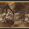 King Philip's Spring - East Base of Mt. Hope.