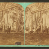 The Swings, Rocky Point.