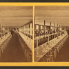 Clam House Dining Room, Rocky Point, R.I.