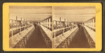 Clam House Dining Room, Rocky Point, R.I.