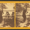 Black Bear, Rocky Point, R.I.