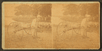 Vendor with a cart, Rocky Point , R.I.