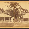 Carousel, Rocky Point, R.I.