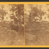 Rock Cottage, Rocky Point , R.I.
