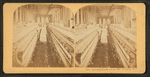 Spinning room, Cotton mill, Langley, S.C.