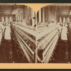 Spinning room, Cotton mill, Langley, S.C.