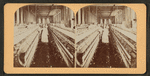 Spinning room, Cotton mill, Langley, S.C.