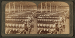 In the great spinning-room - 104,000 spindles - Olympian Cotton Mills, Columbia, S.C.