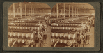 In the great spinning-room - 104,000 spindles - Olympian Cotton Mills, Columbia, S.C.