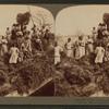 A rice raft, South Carolina.