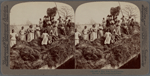 A rice raft, South Carolina.