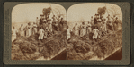 A rice raft, South Carolina.