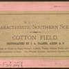 Cotton field.