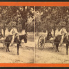 Cracker cart.