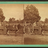 Ox cart.