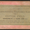 Cotton field.