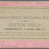 Cotton field.