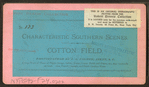 Cotton field.