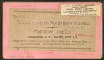 Cotton field.