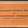 Cotton field.