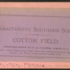 Cotton field.