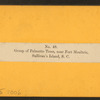 Group of palmetto trees, near Fort Moultrie, Sullivan's Island, S.C.
