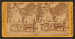 A family ride at Summerville, S.C.