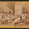View of laborers preparing cotton gins - on Alex. Knox's plantation, Mount Pleasant, near Charleston, S.C.